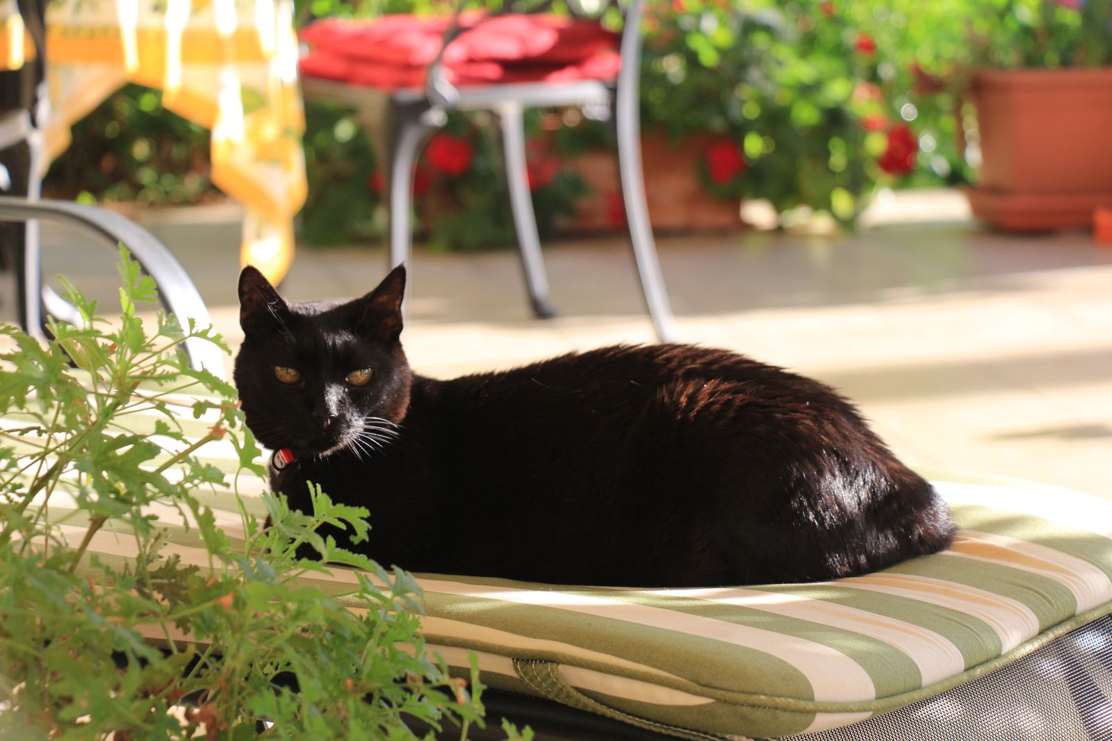 Costa Brava-2016-09-03-017