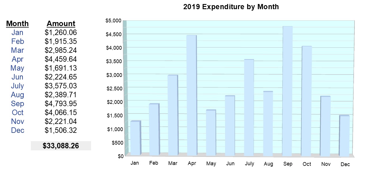 2019 travel costs screenshot - our travel budget